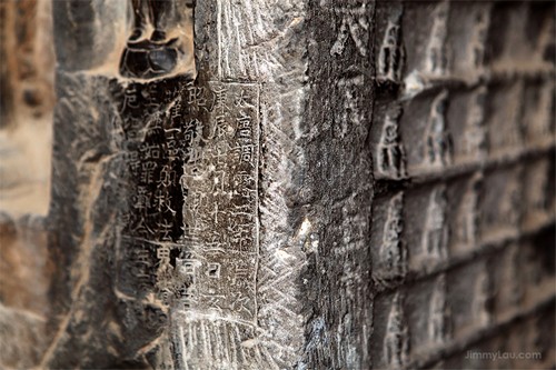 龍門石窟(Longmen Grottoes)