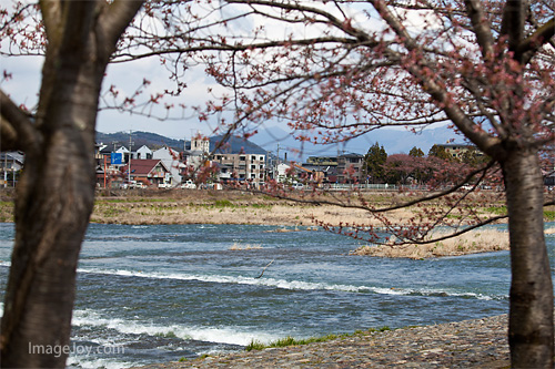 嵐山公園