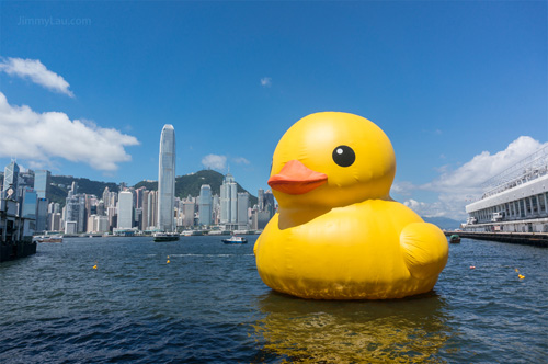 香港黃色橡皮鴨 Rubber Duck